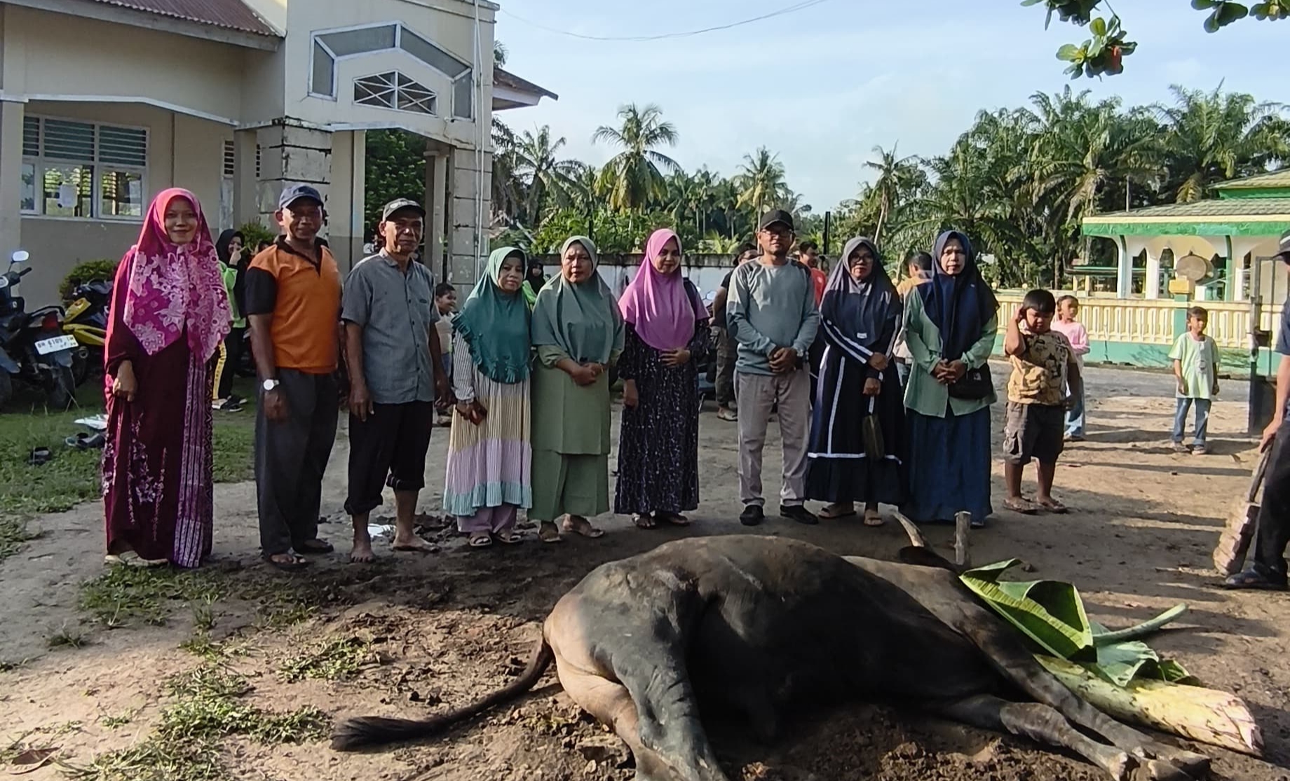 Berkurban Dengan iklhas ,menuai berkah tiada batas,MTsN 7 Muaro Jambi laksanakan ibadah qurban tahun ke dua