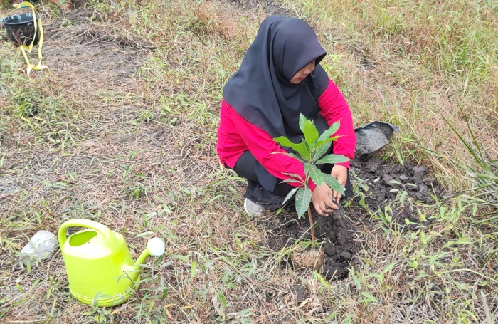 Tujuh Calon Pegawai P3K MTsN 7 Muaro Jambi Tanam Bibit Pohon Jelang Pelantikan